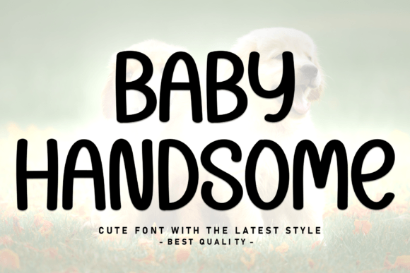 Baby Handsome: A Timeless Sans Serif Font for Brands