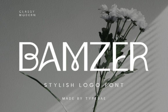 Bamzer: A Sleek Sans Serif Logo Font for Modern Brands