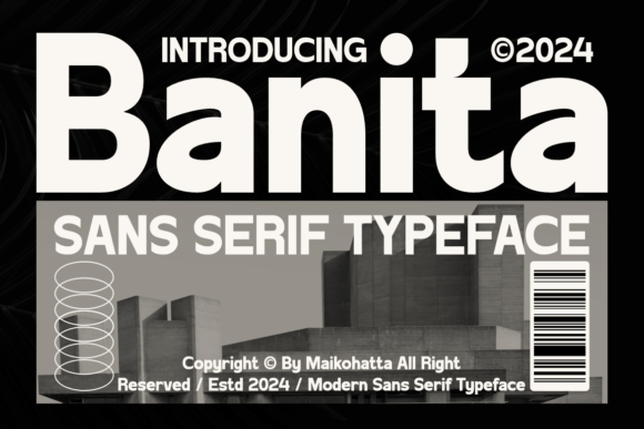 Banita: A Clean Sans Serif Font for Modern Brands