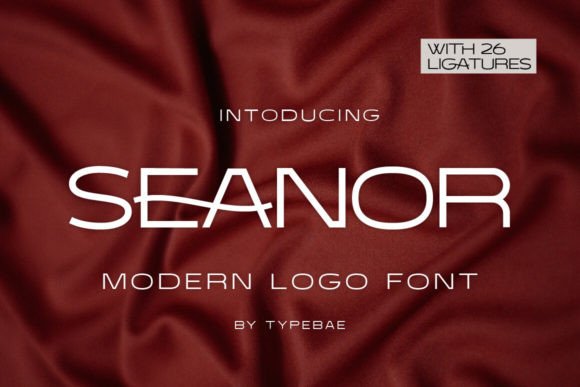 Seanor: A Modern Sans Serif Font for Brand Identity