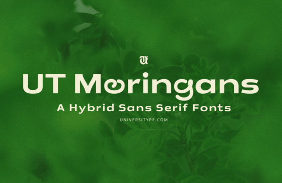 Ut Moringans: A Premium Sans Serif for Modern Branding