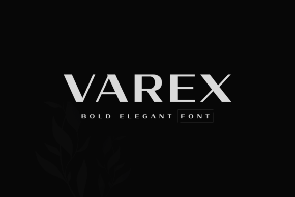 Varex: A Modern Sans Serif Font for Bold Marketing Designs
